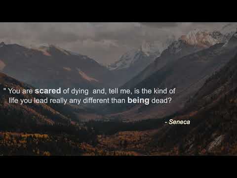 STRENGTH TO ENDURE - Powerful Stoic Quotes