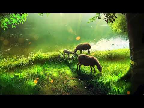 528Hz Energy Cleanse Music ► Stop Overthinking & Anxiety Healing Frequency Music | Positive Energy